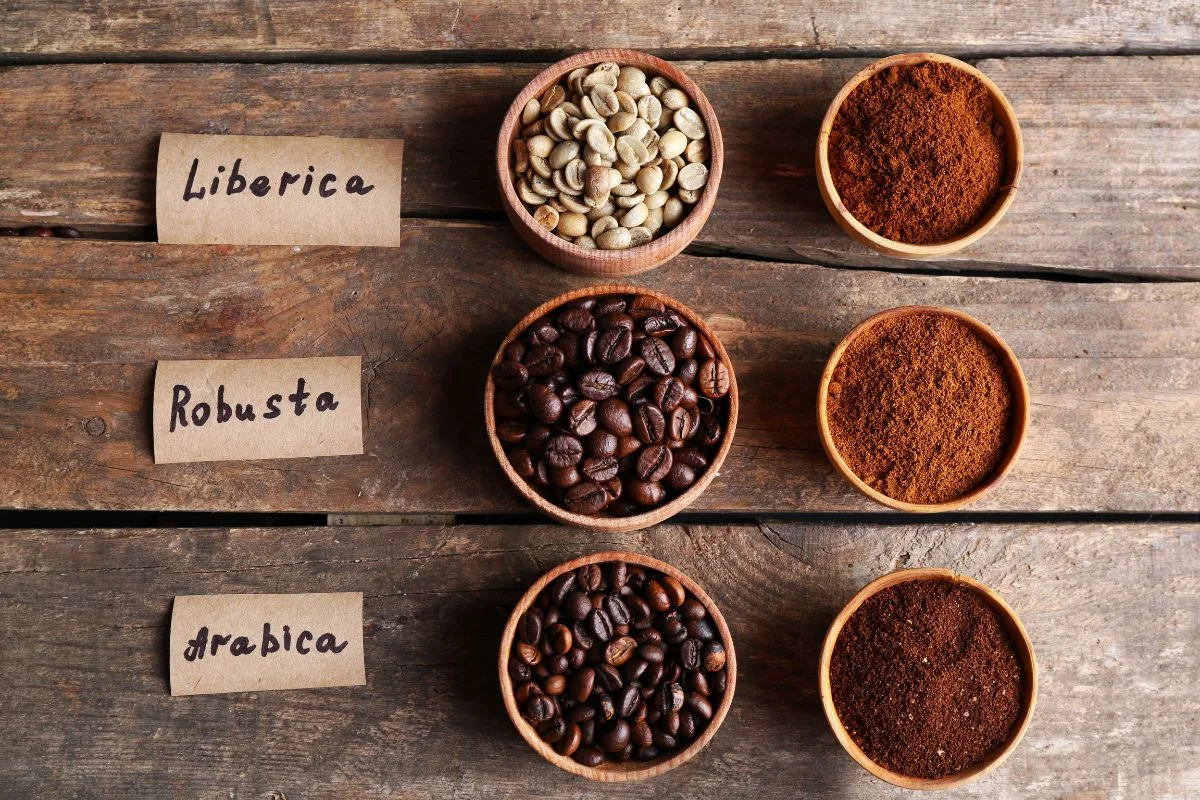 Diferentes variedades de café