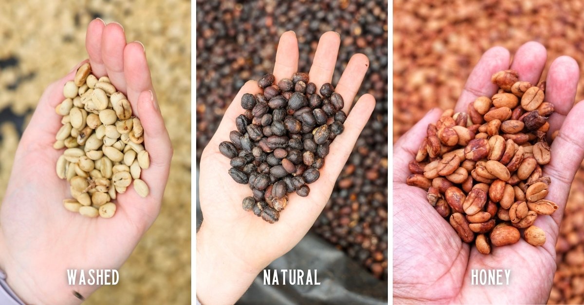 Processamento de café